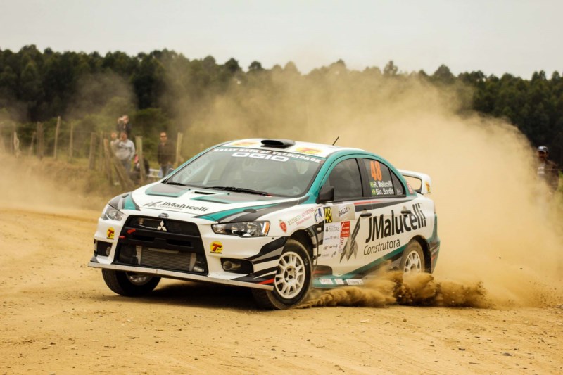 araucaria-ricardo malucelli2