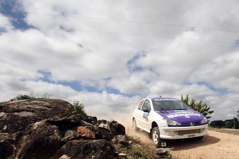 araucaria-sabado-definedomingo